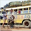 Circus Baobab : photo