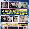 La Merveilleuse odyssée de l'idiot toboggan : affiche