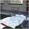 Un Coupable idéal : photo