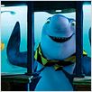 Gang de requins : photo Eric Bergeron