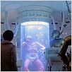 Star Wars : Episode IV - Un nouvel espoir (La Guerre des étoiles) : photo George Lucas