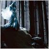 Les Noces funèbres : photo Tim Burton