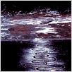 Rivers and Tides : photo Thomas Riedelsheimer