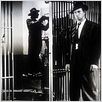 Quand la ville dort : photo John Huston, Sterling Hayden
