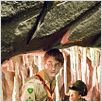 Extras : photo Daniel Radcliffe, Warwick Davis