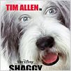 Raymond : affiche Brian Robbins, Tim Allen