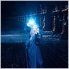 Harry Potter et l'Ordre du Phénix : photo David Yates, Michael Gambon