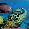 Deep Sea dansons sous la mer : affiche Howard Hall