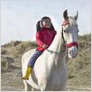 Le Cheval de Saint Nicolas : photo Ebbie Tam, Mischa Kamp