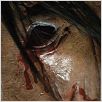 Saw 4 : photo Darren Lynn Bousman