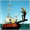 Les Dents de la Mer : photo Richard Dreyfuss, Robert Shaw, Roy Scheider, Steven Spielberg