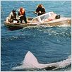Les Dents de la Mer : photo Steven Spielberg