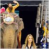 Love Gourou : photo Jessica Alba, Marco Schnabel, Mike Myers
