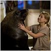 L'Ile de Nim : Photo Abigail Breslin, Jennifer Flackett, Mark Levin