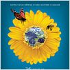 Pollen : affiche