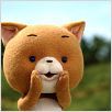 Le Petit chat curieux (Komaneko) : photo Goda Tsuneo