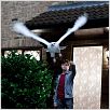 Harry Potter et les reliques de la mort - partie 1 : photo Daniel Radcliffe, David Yates