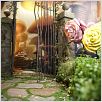 Alice au Pays des Merveilles : photo Tim Burton