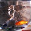 La Vie sauvage des animaux domestiques : photo Dominique Garing, Frédéric Goupil