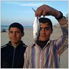 Aisheen (chroniques de Gaza) : photo