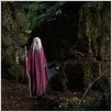 Merlin : photo Colin Morgan
