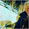 Hobo with a Shotgun : photo