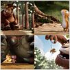 Le Gruffalo : photo