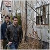 Contrebande : photo Lukas Haas, Mark Wahlberg