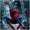 The Amazing Spider-Man : affiche