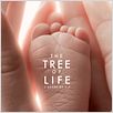 The Tree of Life : affiche