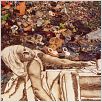 Waste Land : photo Lucy Walker