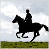 Cheval de guerre : Photo Jeremy Irvine, Steven Spielberg
