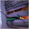 Le Lorax : photo Chris Renaud, Cinco Paul, Ken Daurio