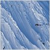 The Art of Flight 3D : photo