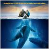 Miracle en Alaska : affiche