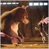 Madagascar 3, Bons Baisers D’Europe : Photo Eric Darnell