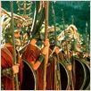 Jason et les Argonautes (TV) : photo
