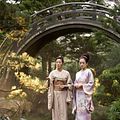 Mémoires d'une geisha : photo Michelle Yeoh, Rob Marshall, Zhang Ziyi