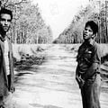 Down by Law : photo Jim Jarmusch, John Lurie, Roberto Benigni, Tom Waits
