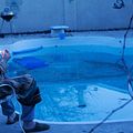 Breaking Bad : photo Bryan Cranston