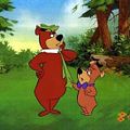 Photo : Yogi l'Ours