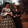 Soeurs de coeur : Photo Angelina Jolie