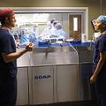 Photo Kelly McCreary, Martin Henderson