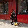 Le Teckel : Photo Danny DeVito