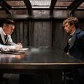 Les Animaux fantastiques : Photo Colin Farrell, Eddie Redmayne
