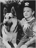 Rintintin