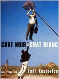 Chat noir, chat blanc