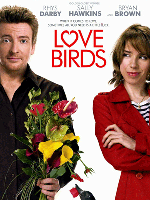 Love Birds
