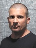 Dominic Purcell