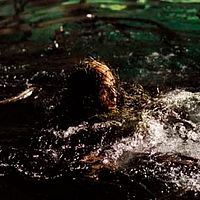 Fog : photo Maggie Grace, Rupert Wainwright